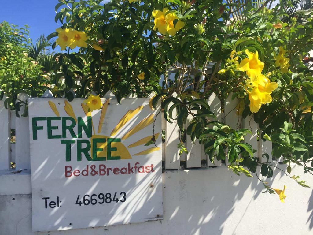 Fern Tree Bed And Breakfast Frigate Bay Extérieur photo