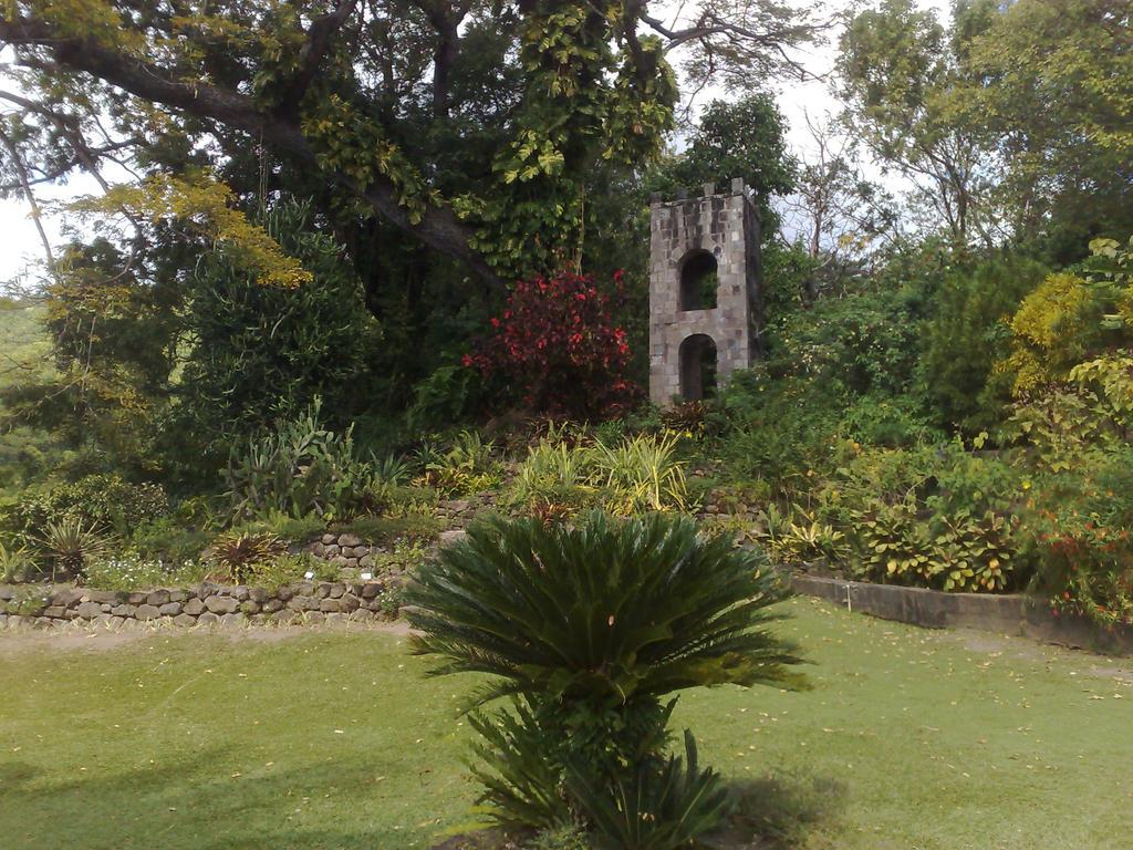 Fern Tree Bed And Breakfast Frigate Bay Extérieur photo