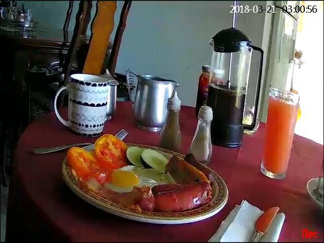 Fern Tree Bed And Breakfast Frigate Bay Extérieur photo
